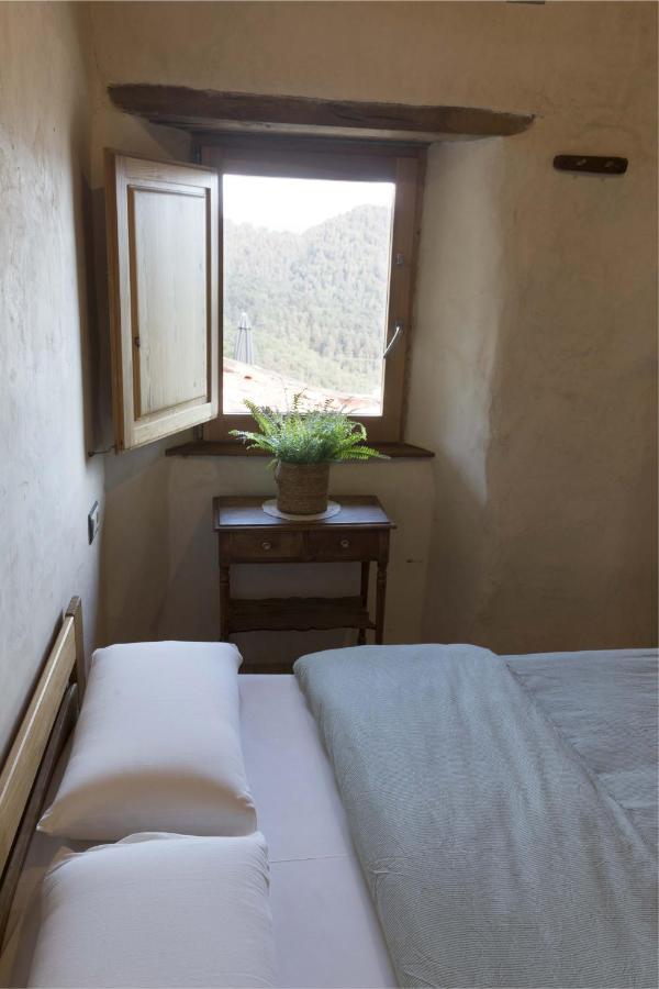 Mas Rural El Negre Hostel Ogassa Bagian luar foto